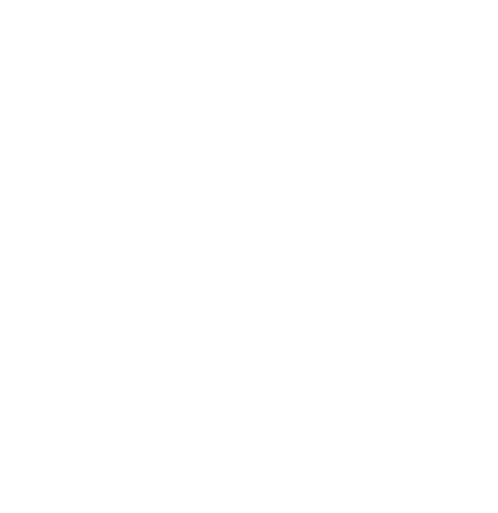 INNOVATIVE TRAIL